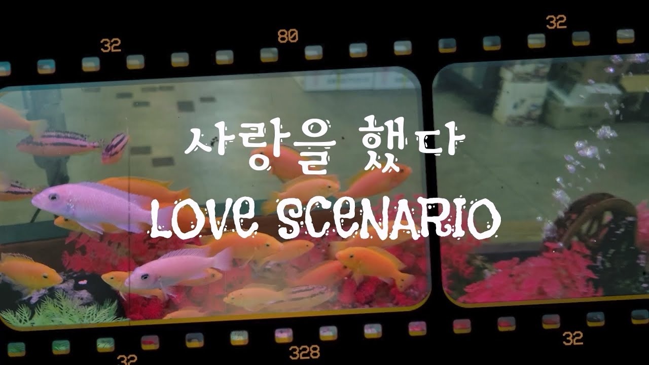 우리가 만든 💘러어업시놔뤼오💖 시니어 MZ 함께 사랑을 했다🎵 실제 콘텐츠 이미지